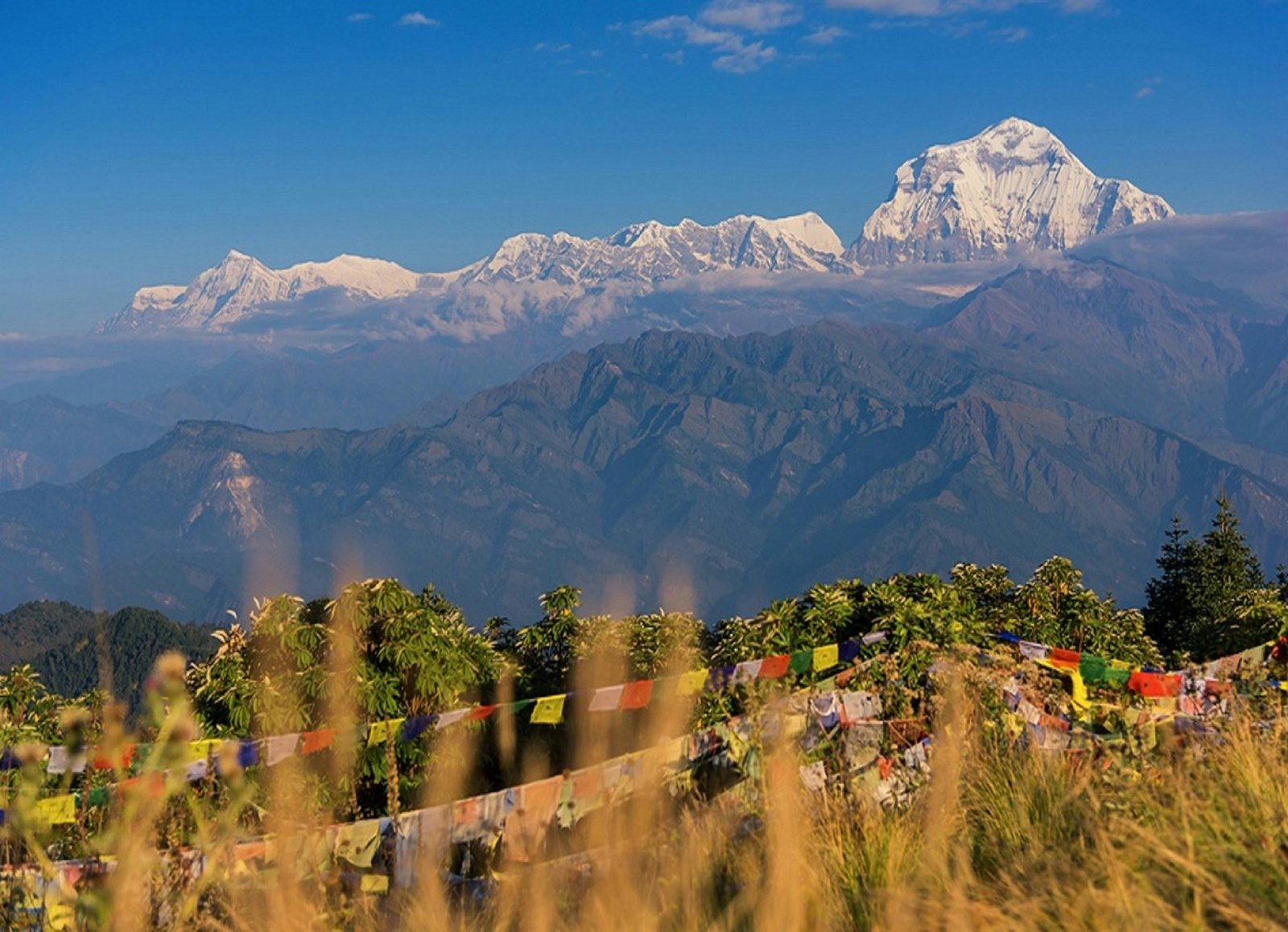 Activities to Do in Pokhara