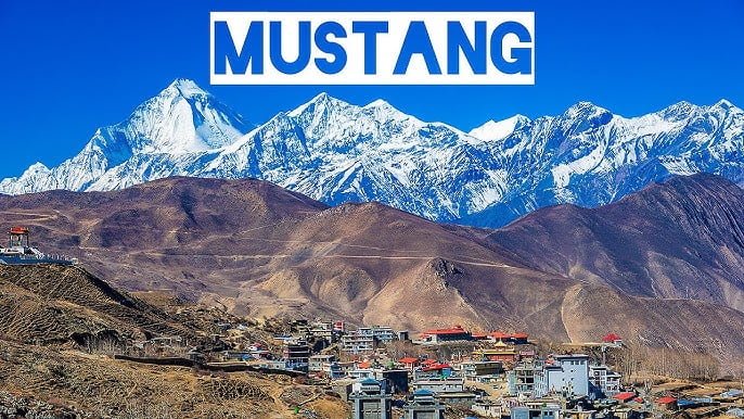 Mustang