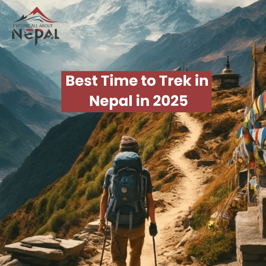 Trek in Nepal