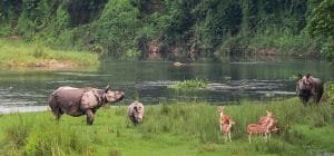 Wildlife Adventures