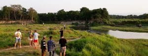 Wildlife Adventures