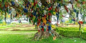 Lumbini Nepal