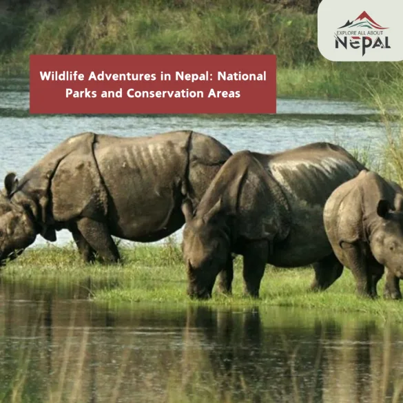 Wildlife Adventures in Nepal