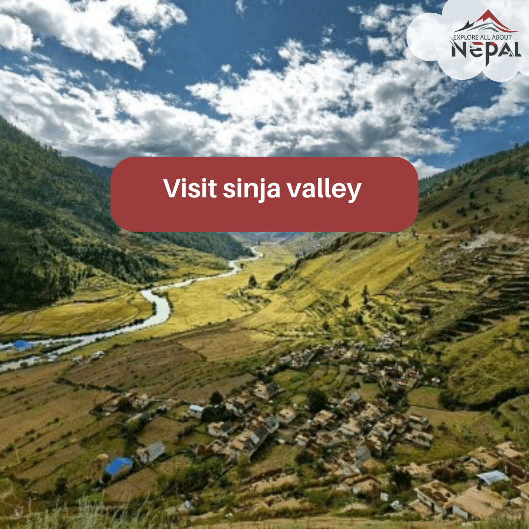 Sinja Valley