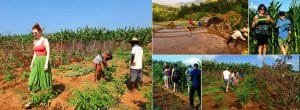 Agro-Tourism in Nepal