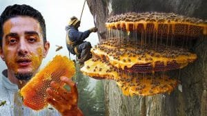 Mad Honey Shops in Nepal