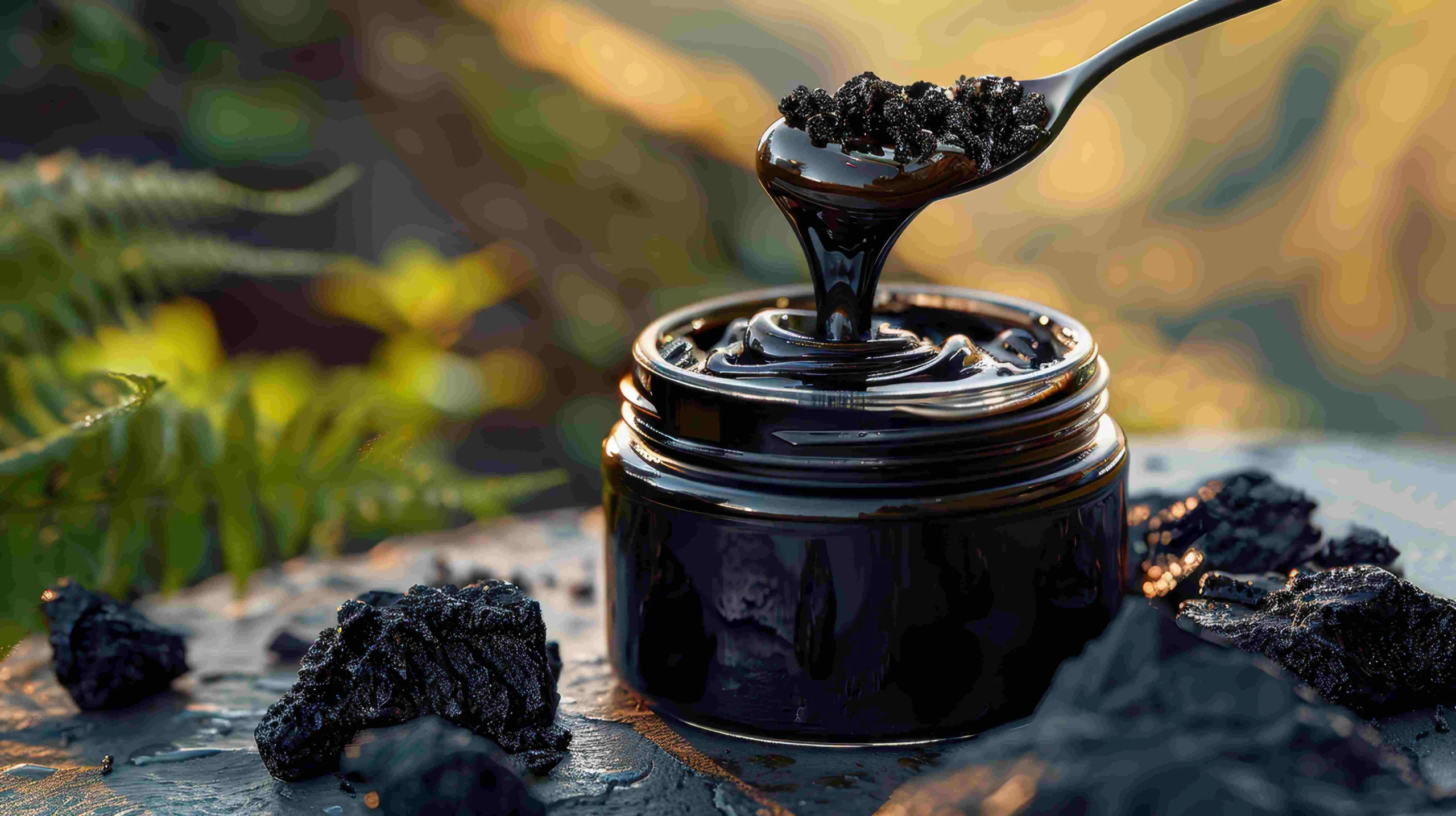 purest Shilajit in the world