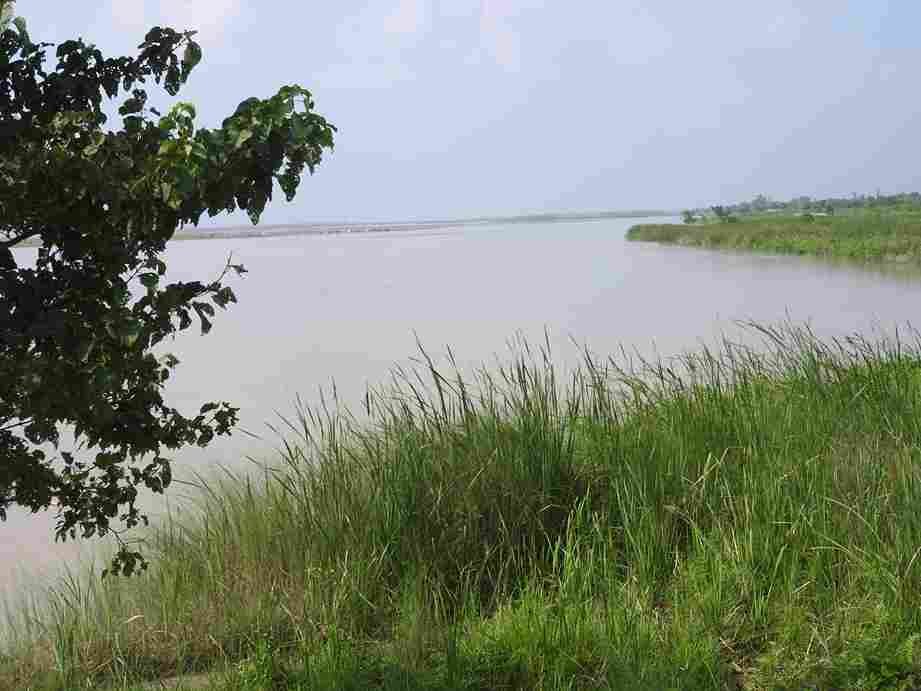 things to do in Biratnagar - Koshi Tappu