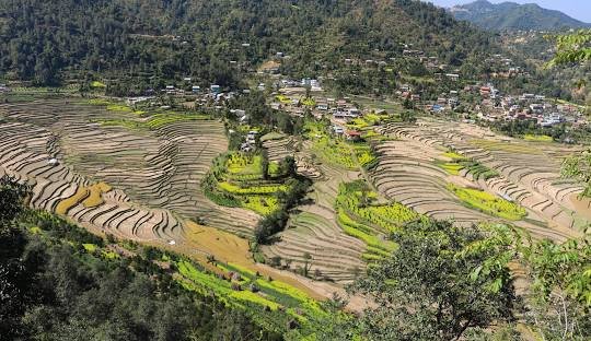 Balthali Village