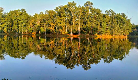 things to do in Chitwan