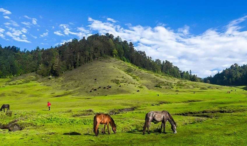 Top Things to Do in Jumla
