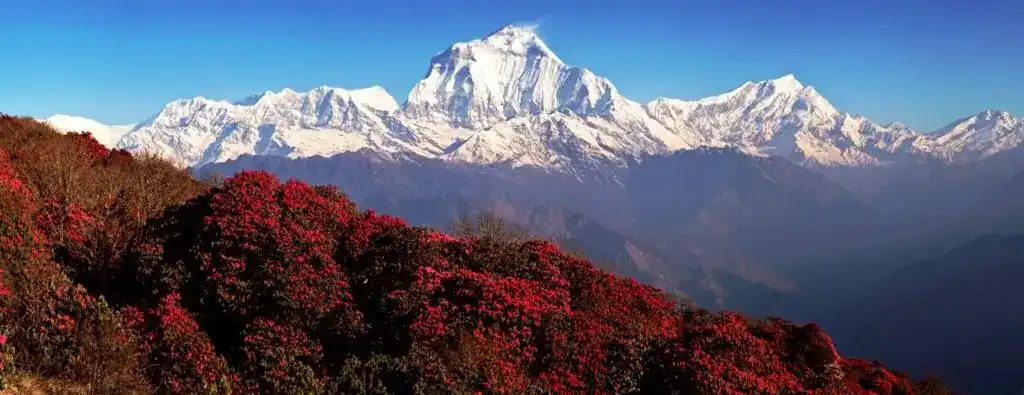 Best Hiking Trails in Nepal for Beginners