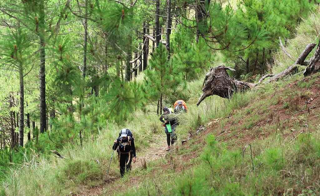 Generate an image of Best Hiking Trails in Nepal for Beginners
