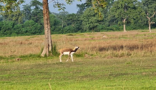  things to do in Bardiya