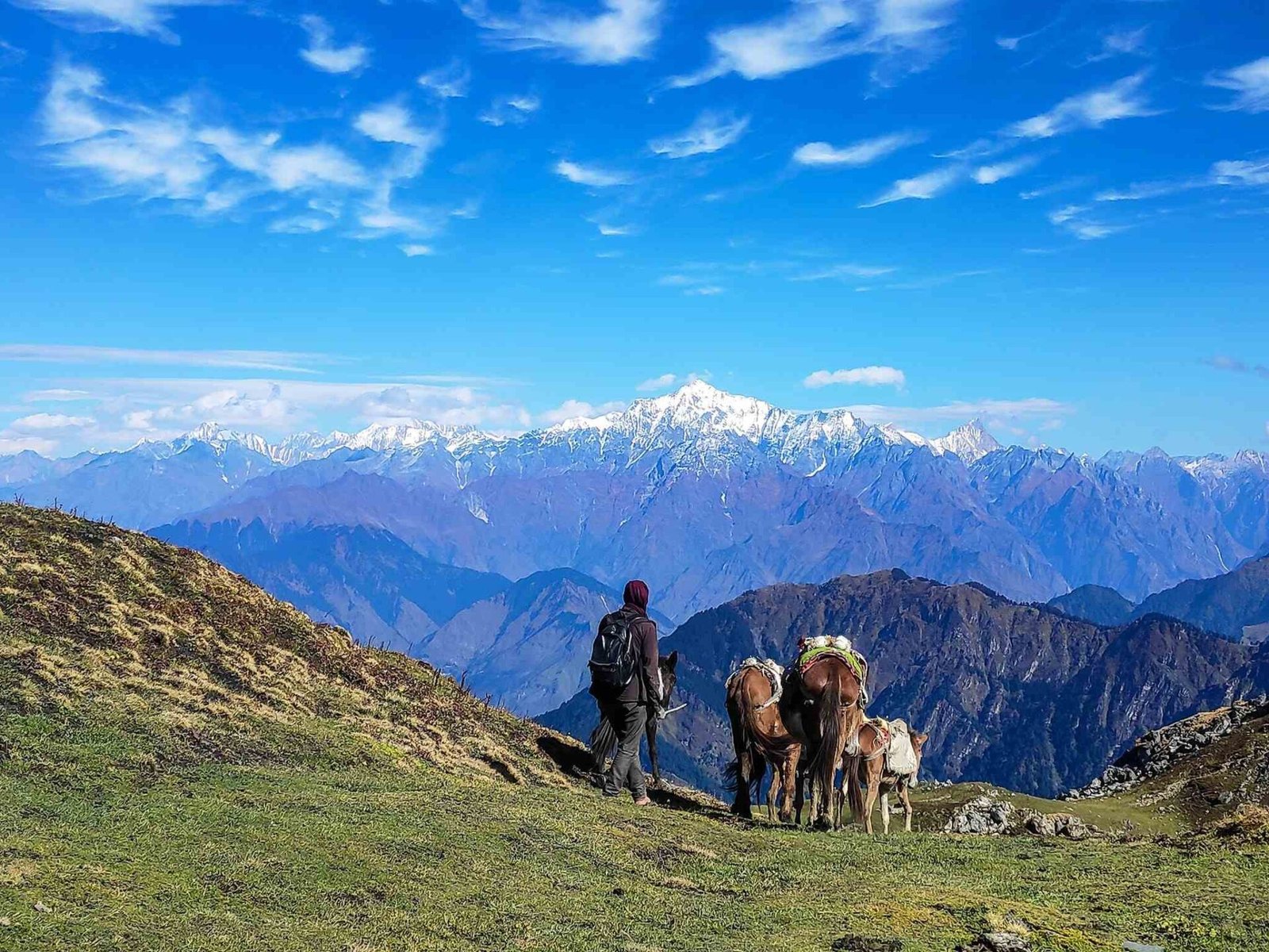 Siddha Topi Darchula