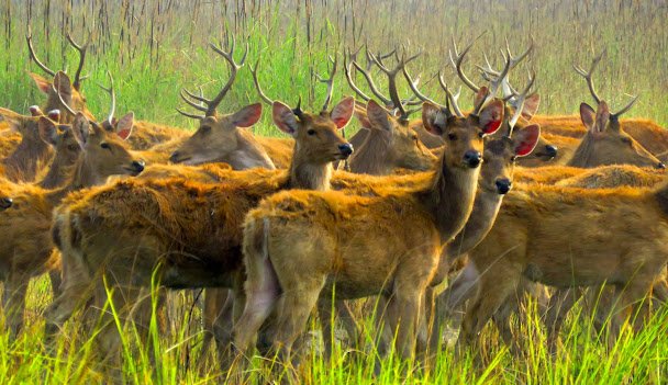 Provinces of Nepal-Karnali Province