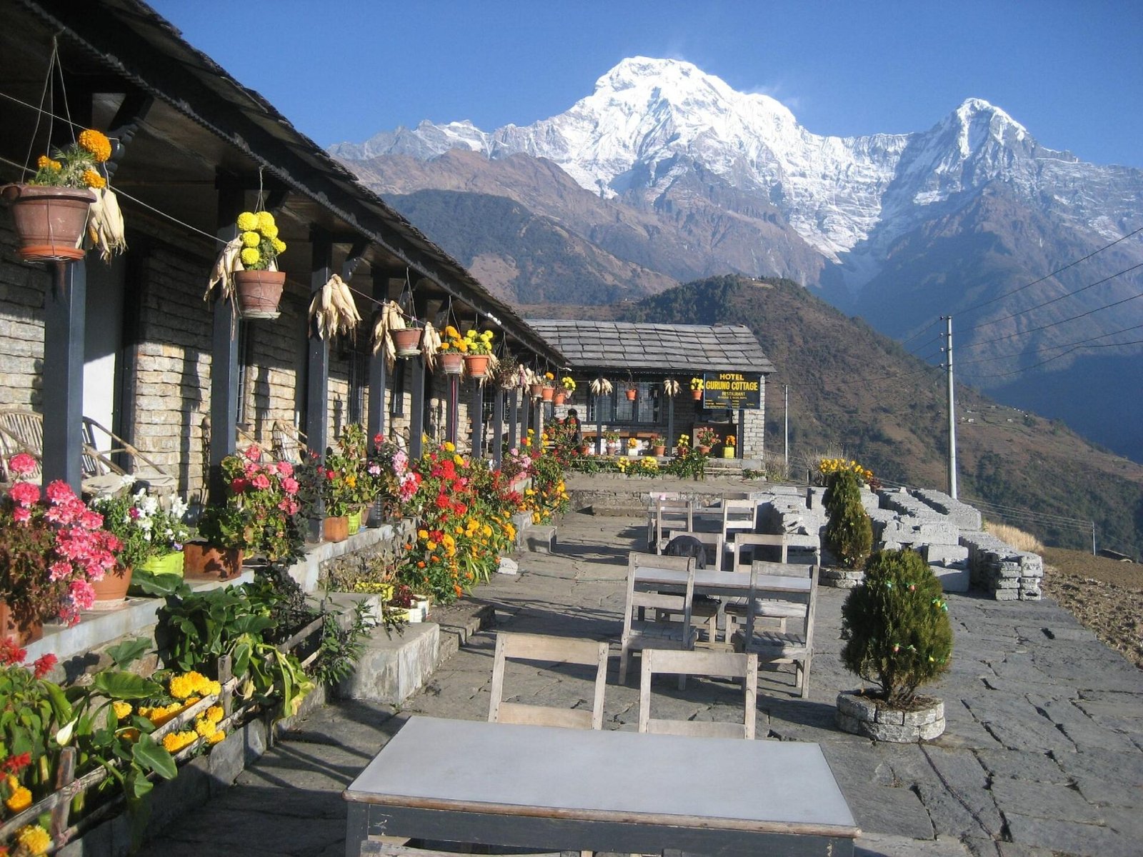 Homely Homestay to Stay in Ghandruk