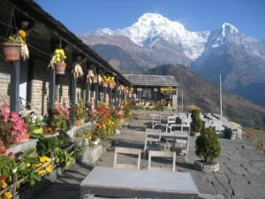 Homely Homestay to Stay in Ghandruk