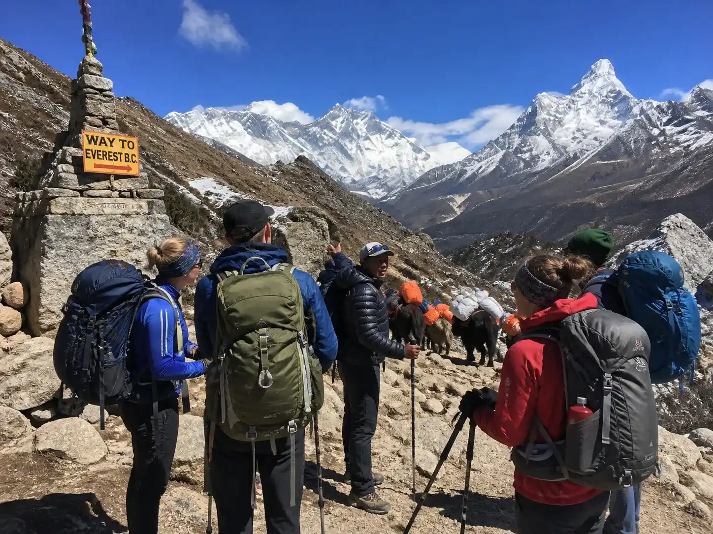 How to Choose a Trekking Agency in Nepal 2026: TAAN Verification, Fair Prices and Red Flags