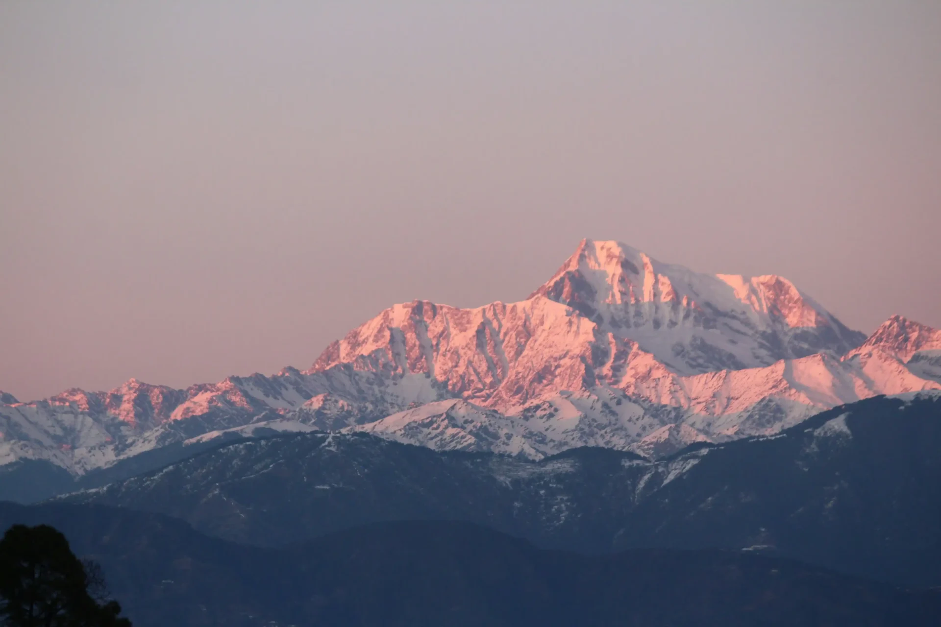 Total Death on Everest in 2026