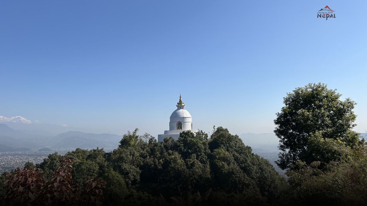 World Peace Pagoda