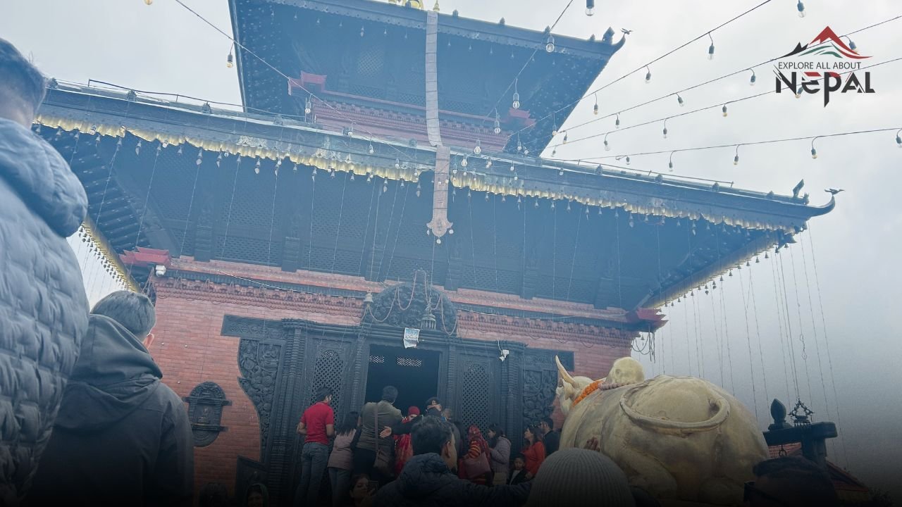 Visit Bhaleshwor Mahadev Temple