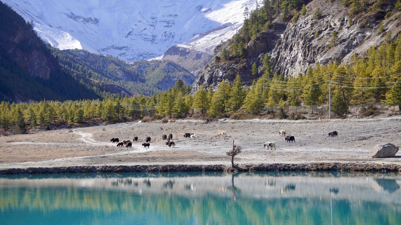 Manang Valley, Nepal