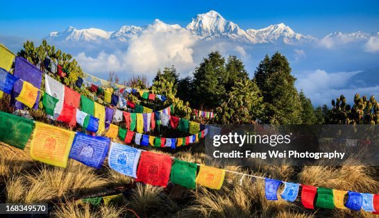 Poon Hill Mardi Himal Trek