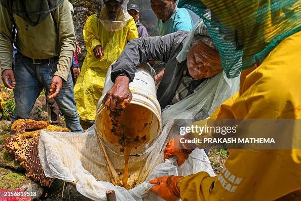 Honey Hunting in Nepal